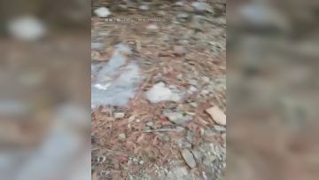 高颜值妹子【骚劲小妖精】驾车户外车上口口，全裸上位骑乘抽插非常诱人，很是诱惑喜欢不要错过第07集