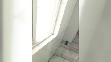 颜值不错美女主播户外去教室玩塞着跳蛋跑到厕所自慰很是诱人第02集